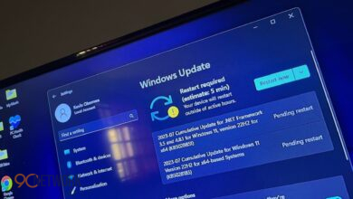 Windows update settings showing updates option