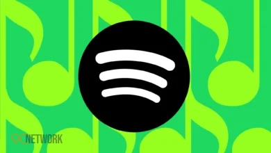 Spotify AI slop tool filtering fake AI-generated songs